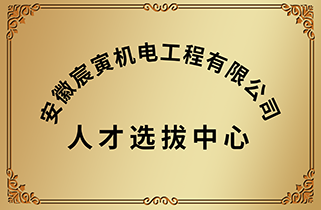宸寅